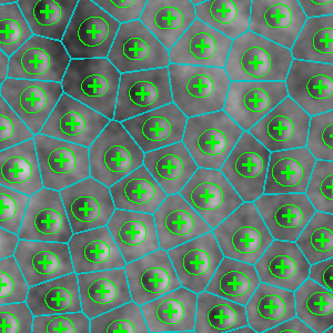 cone segmentation machine learning image
